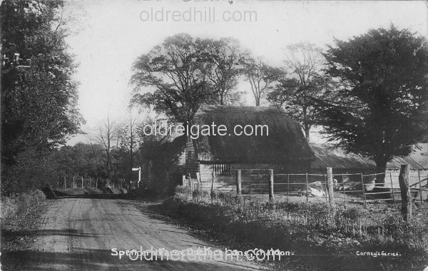 Image number 1182&prevurl=doctorslanechaldon