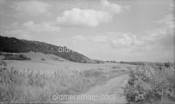 Image number 1207&prevurl=year1942