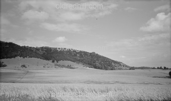 Image number 1208&prevurl=year1942