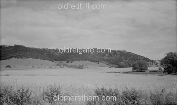 Image number 1209&prevurl=year1942