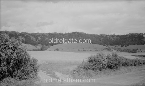 Image number 1212&prevurl=year1942