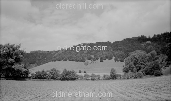 Image number 1213&prevurl=year1942