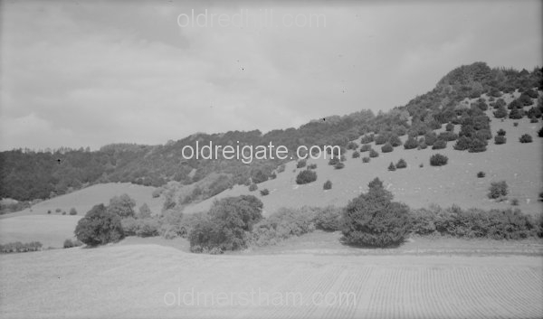 Image number 1215&prevurl=year1942