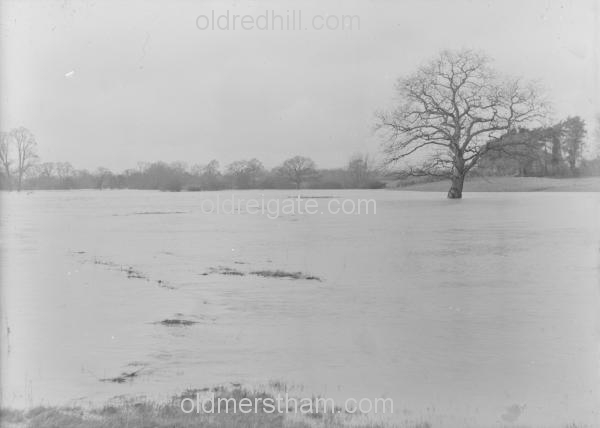 Image number 1420&prevurl=year1914