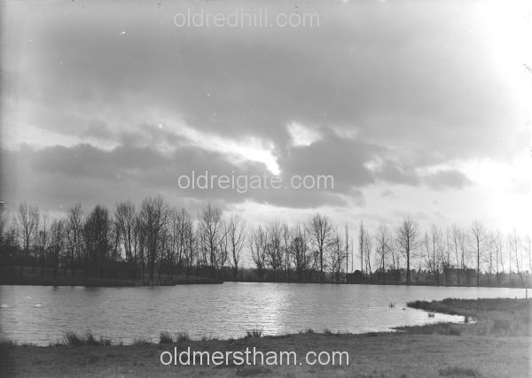 Image number 1502&prevurl=earlswoodlake2