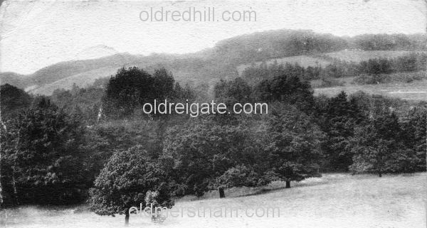 Image number 1883&prevurl=gattonroad