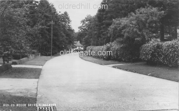 Image number 197&prevurl=beechdrivekingswood