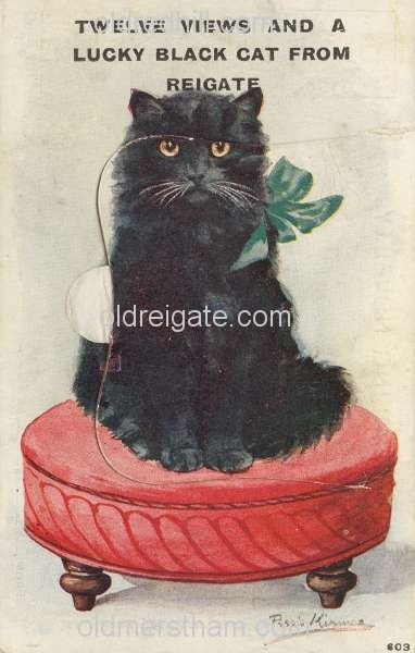 Image number 3262&prevurl=year1924