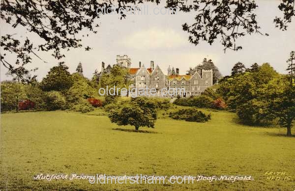 Image number 3312&prevurl=nutfieldpriory