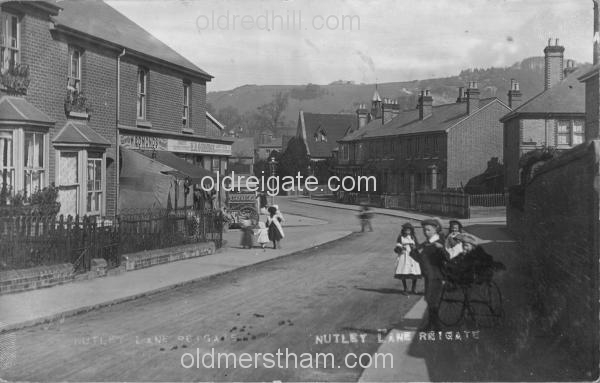 Image number 3336&prevurl=nutleylane