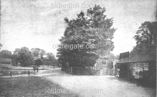 Image number 3369&prevurl=oldroad
