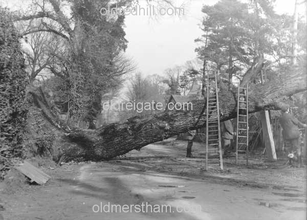 Image number 3376&prevurl=oldroad