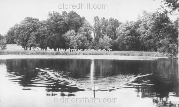 Image number 3495&prevurl=park3