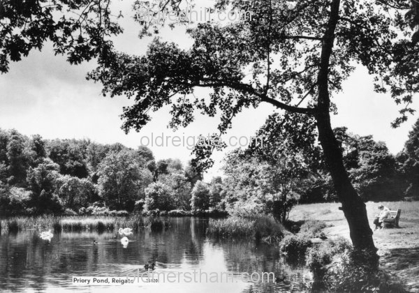 Image number 3496&prevurl=park3