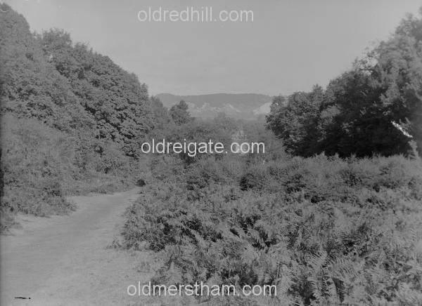 Image number 3502&prevurl=park4