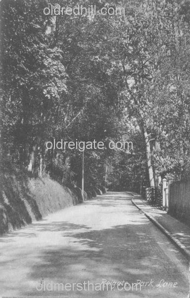 Image number 3531&prevurl=parklane