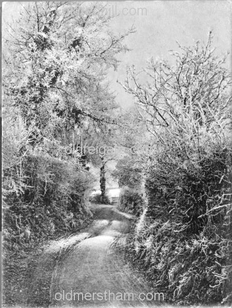 Image number 3534&prevurl=parklane