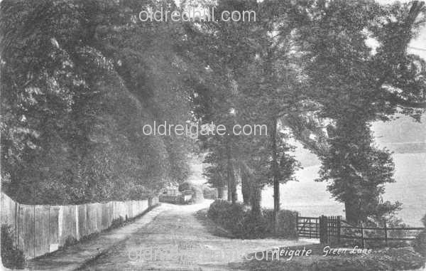 Image number 3550&prevurl=parklane3