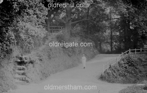 Image number 3564&prevurl=parklane4