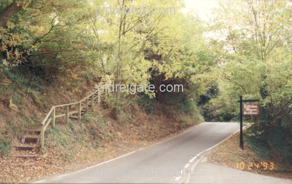 Image number 3565&prevurl=parklane4