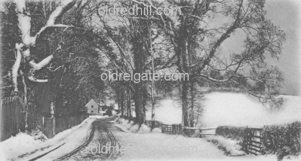 Image number 3567&prevurl=parklane5