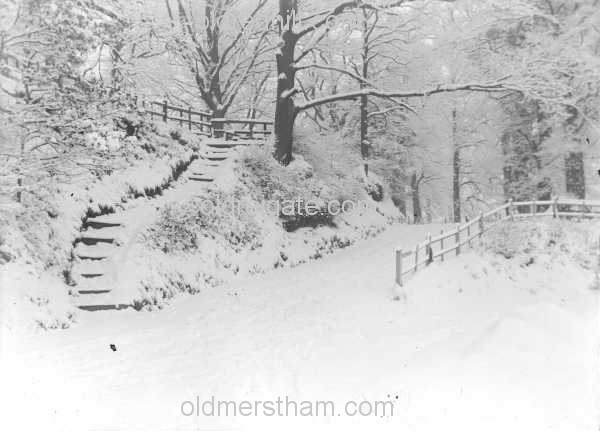 Image number 3569&prevurl=parklane5