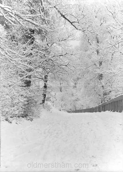 Image number 3572&prevurl=parklane5