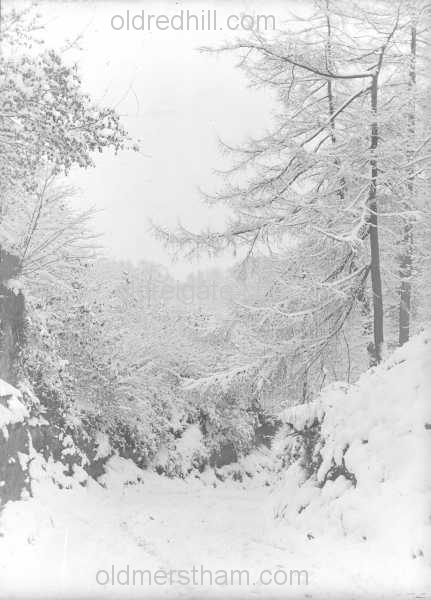 Image number 3574&prevurl=parklane5