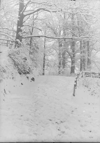 Image number 3575&prevurl=parklane5