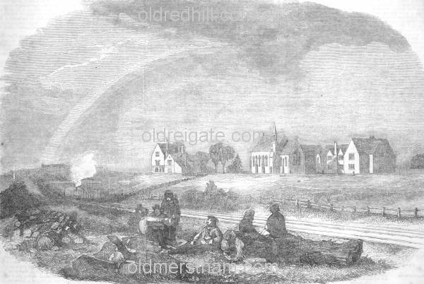 Image number 3606&prevurl=publishers16