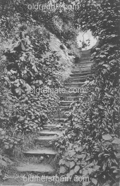 Image number 369&prevurl=publishers56