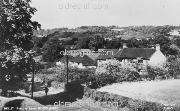 Image number 3773&prevurl=rectorylane