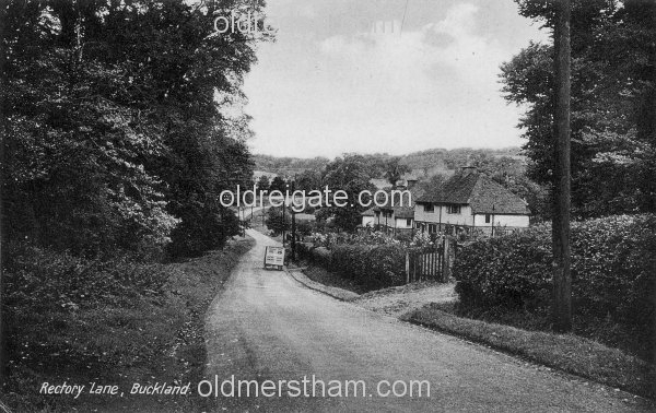 Image number 3774&prevurl=rectorylane