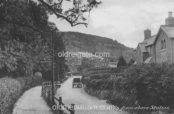 Image number 378&prevurl=publishers56