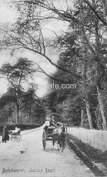 Image number 382&prevurl=publishers56