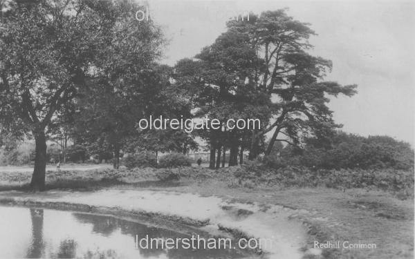 Image number 4065&prevurl=redhillcommon5