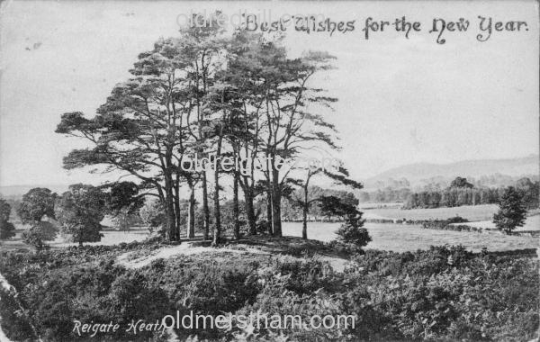 Image number 4235&prevurl=year1886