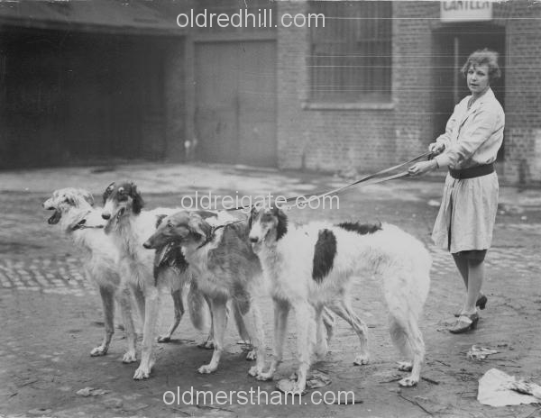 Image number 451&prevurl=year1930