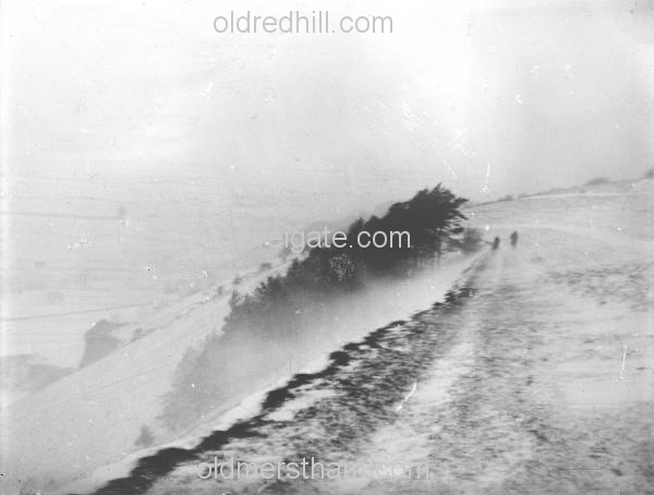 Image number 4516&prevurl=reigatehill8