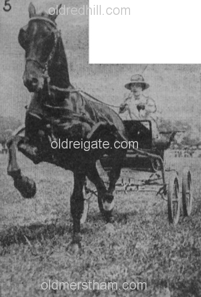 Image number 5120&prevurl=publishers278