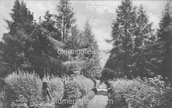 Image number 5515&prevurl=thecopsemeadvale