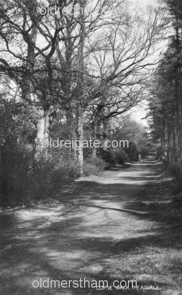 Image number 5516&prevurl=thecopsemeadvale