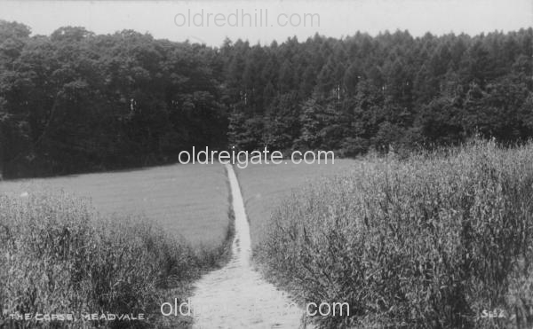 Image number 5517&prevurl=thecopsemeadvale