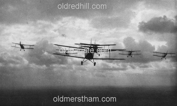 Image number 5548&prevurl=thetigerclub