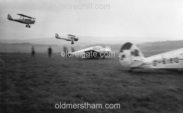 Image number 5551&prevurl=thetigerclub