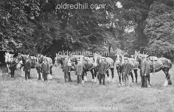 Image number 6031&prevurl=publishers105